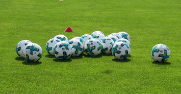 乒乓德甲俱乐部商业转型的痛点与破局方案，德乒乓球男队队员