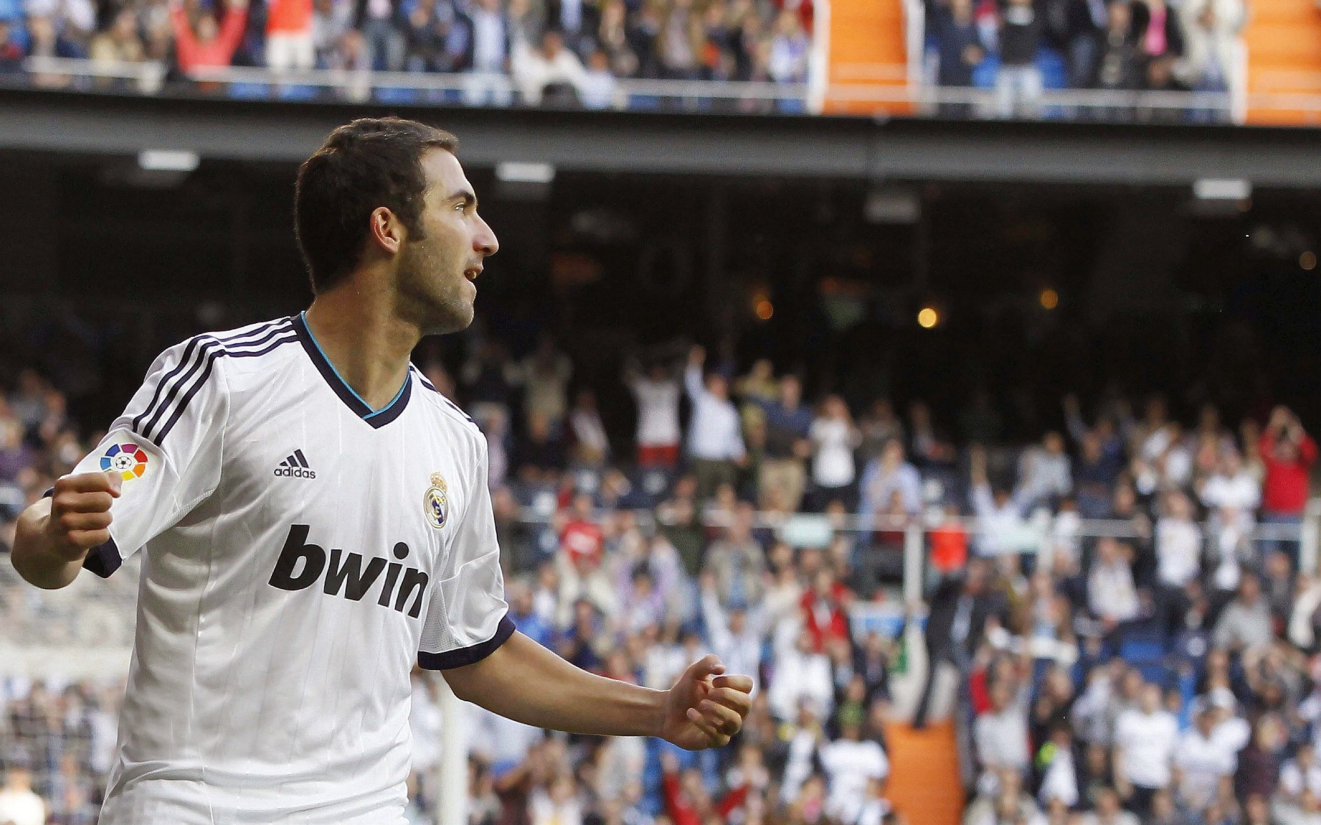 新闻中心聚焦青年运动员成长之路，运动员的青春